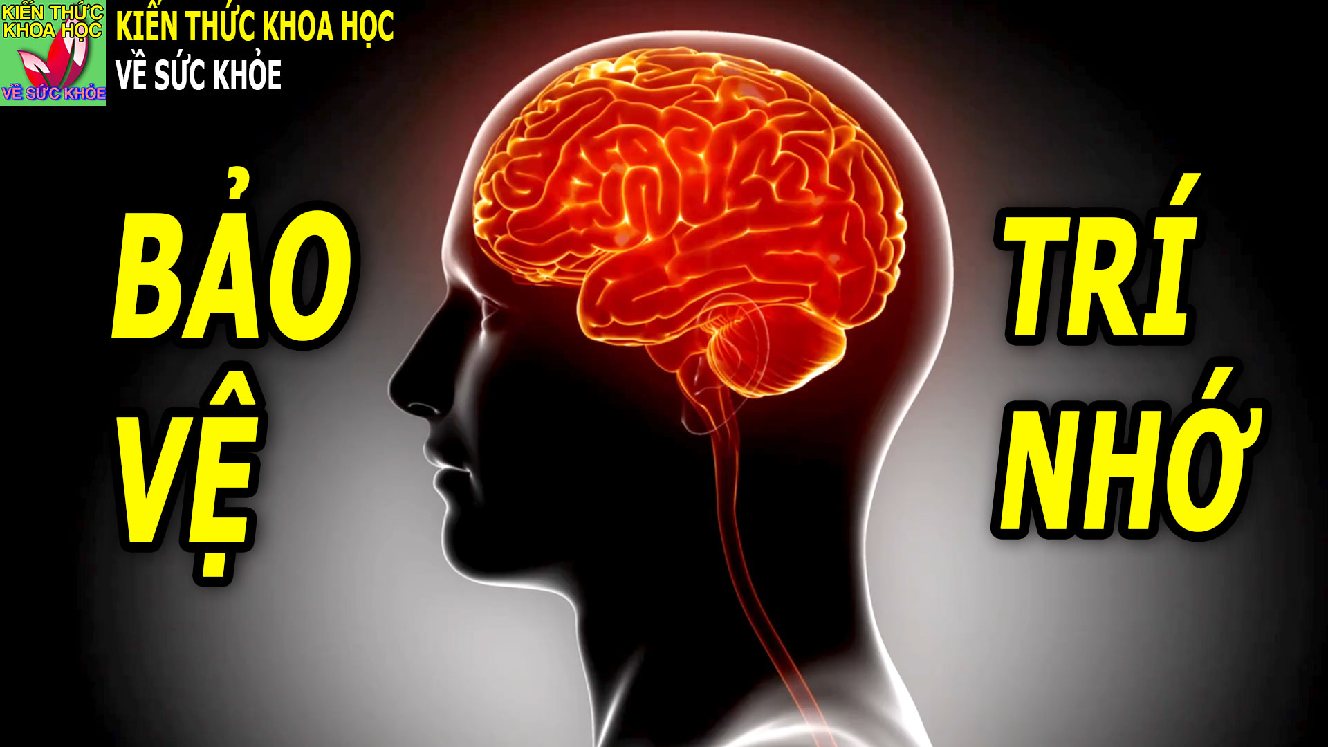 6-quy-tac-bao-ve-tri-nho-tu-chuyen-gia-nao-bo-my