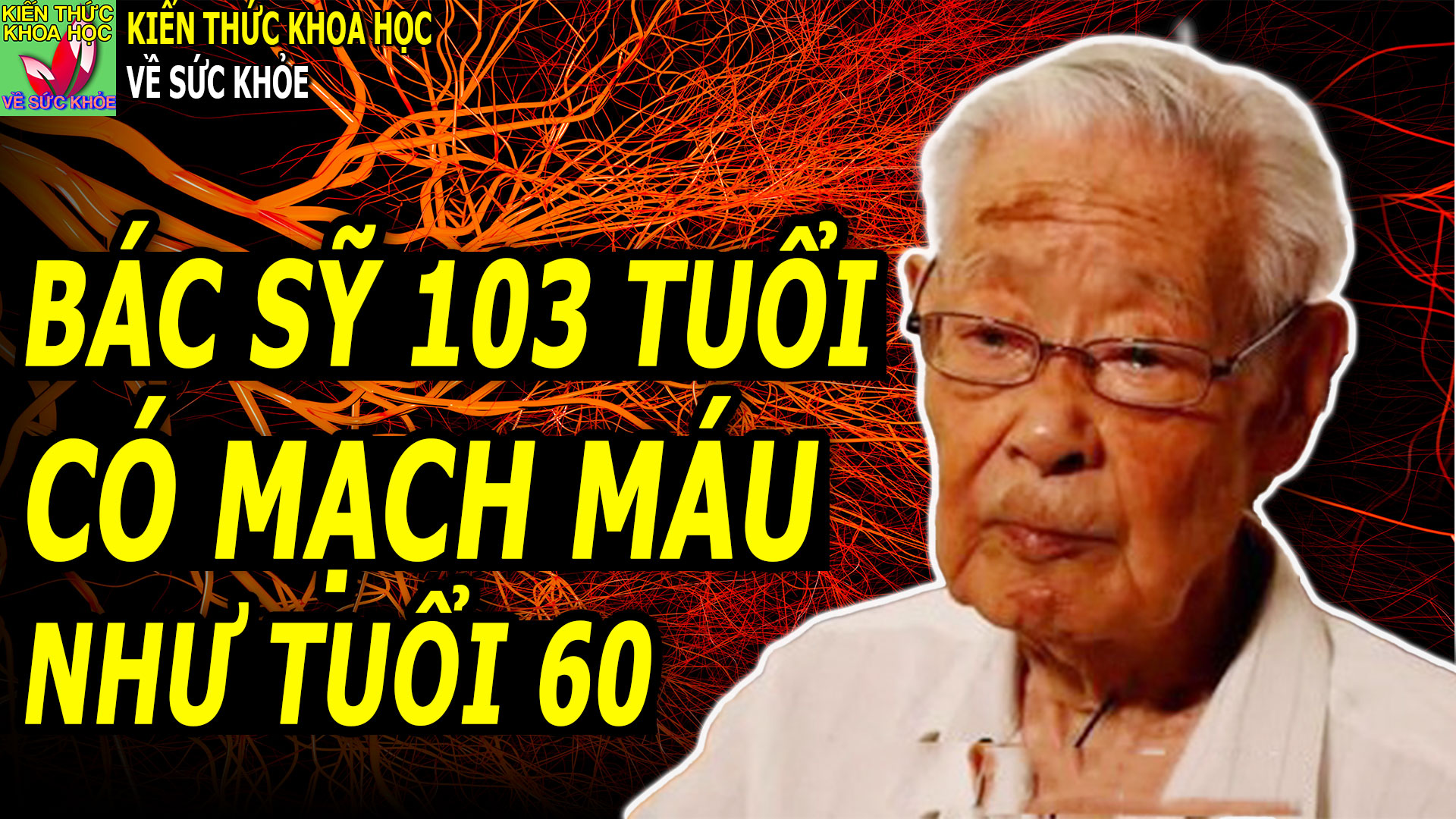 bi-quyet-tre-hoa-mach-mau-cua-vi-bac-si-103-tuoi