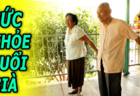 cham-soc-suc-khoe-nguoi-cao-tuoi-bi-quyet-duy-tri-suc-khoe-tuoi-gia