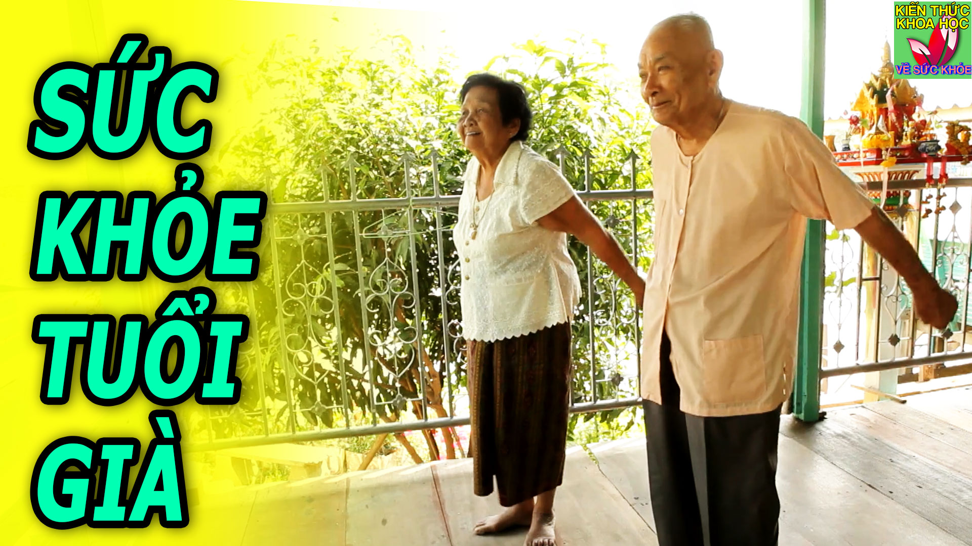 cham-soc-suc-khoe-nguoi-cao-tuoi-bi-quyet-duy-tri-suc-khoe-tuoi-gia