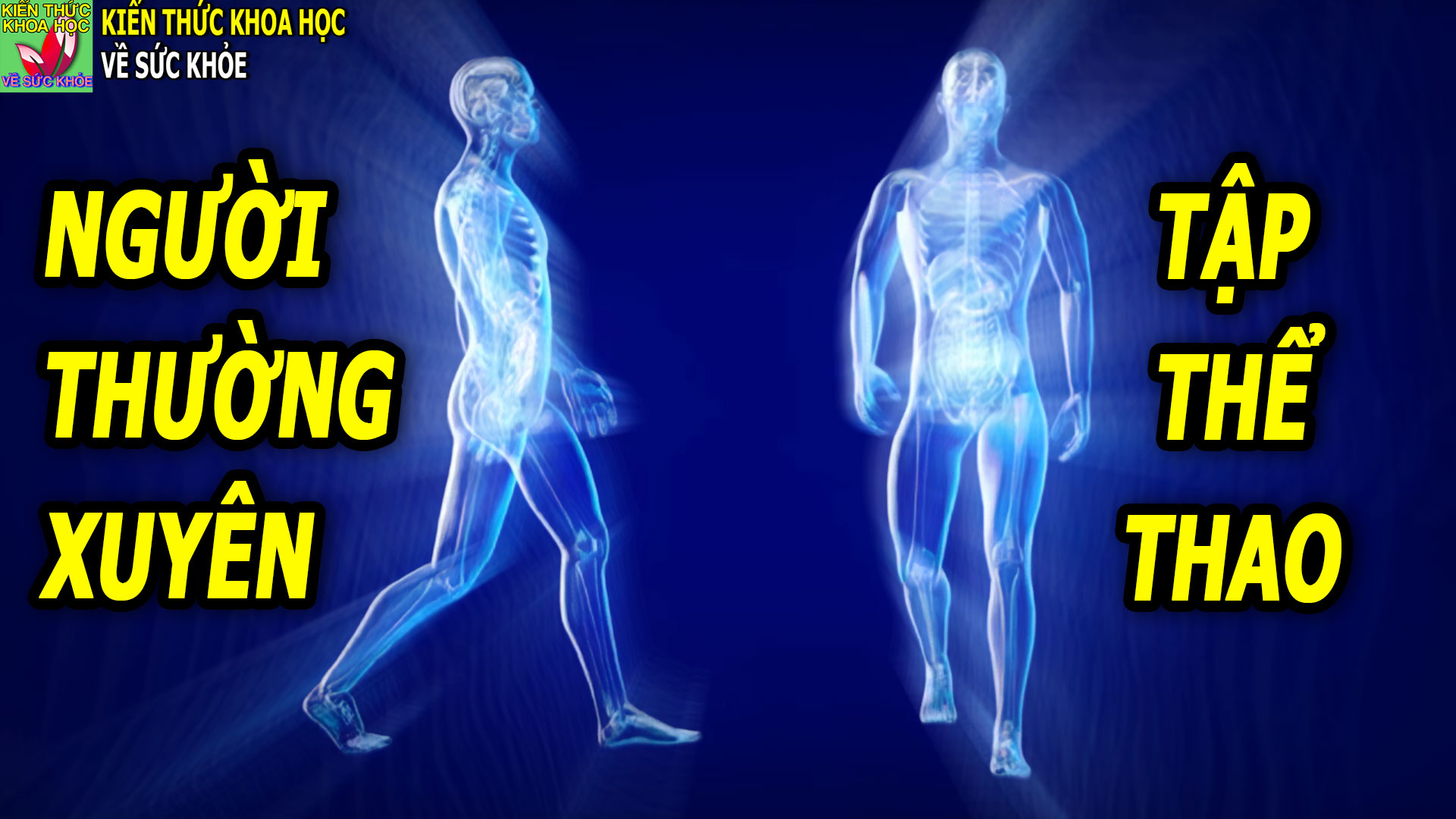 nguoi-thuong-xuyen-ren-luyen-the-chat-dieu-gi-se-xay-ra-voi-co-the