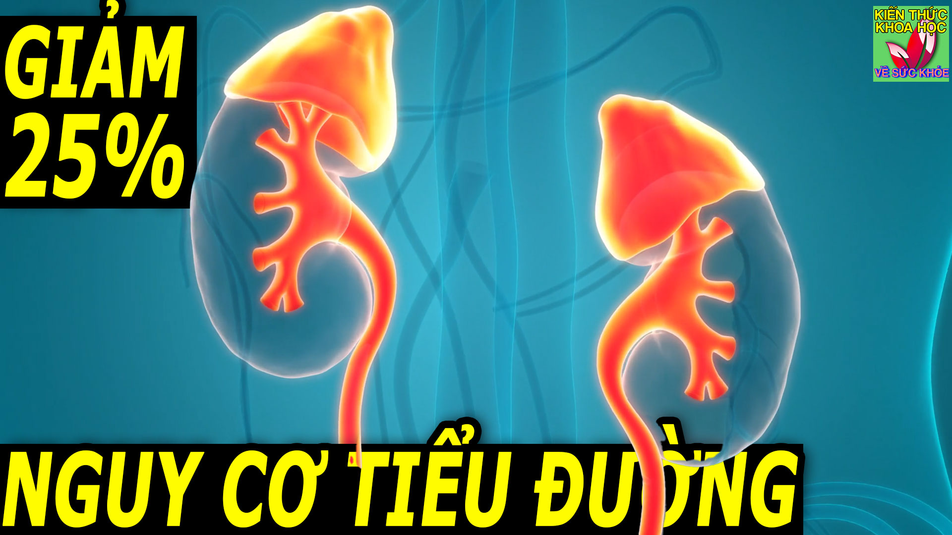 tap-the-duc-voi-thoi-diem-nay-co-the-giam-den-25%-nguy-co-tieu-duong