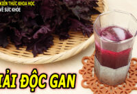 2-thuc-uong-mat-gan-giai-doc-thanh-loc-co-the-duoc-nguoi-nhat-tin-dung