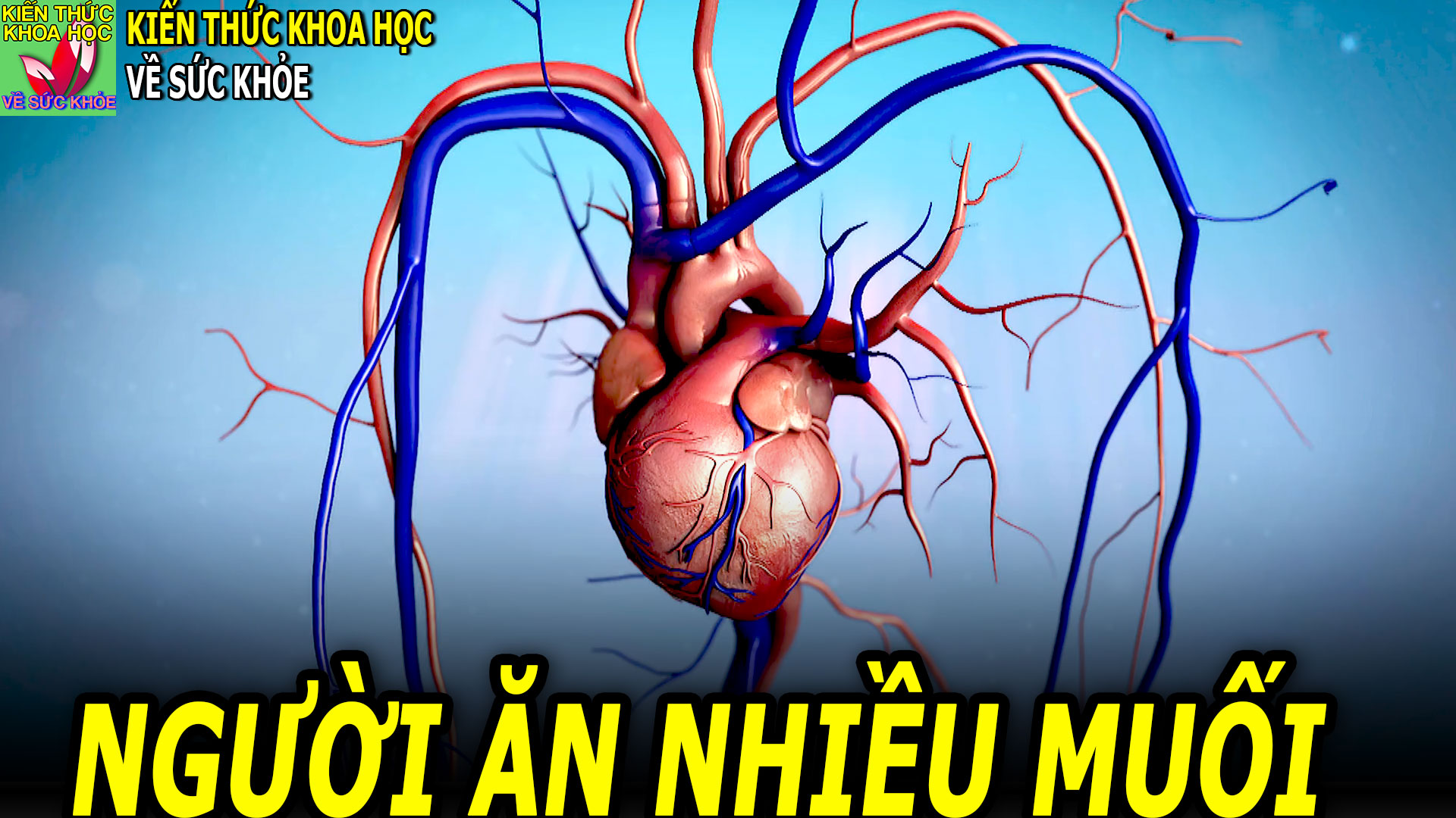 an-qua-nhieu-muoi-dieu-gi-se-xay-ra-voi-co-the-banan-qua-nhieu-muoi-dieu-gi-se-xay-ra-voi-co-the-ban