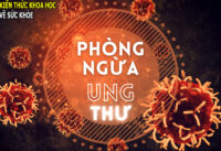 cach-an-uong-giup-giam-nguy-co-bi-ung-thu