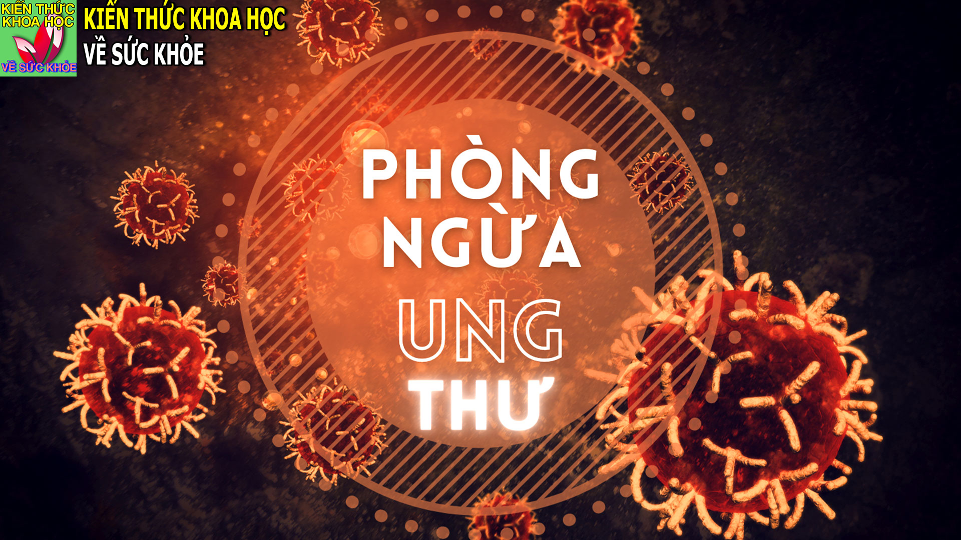 cach-an-uong-giup-giam-nguy-co-bi-ung-thu
