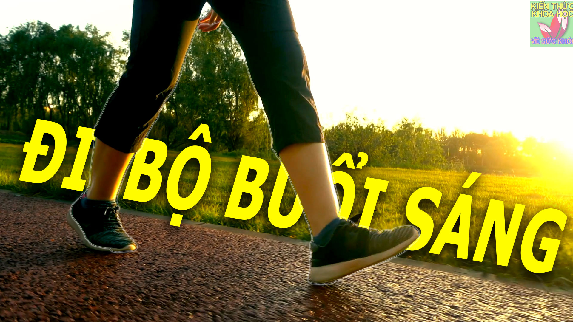 di-bo-vao-buoi-sang-dieu-gi-se-xay-ra-voi-co-the-ban