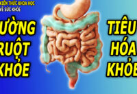 duong-ruot-khoe-khong-lo-mac-benh-tieu-hoa-nho-tap-the-duc-thuong-xuyen