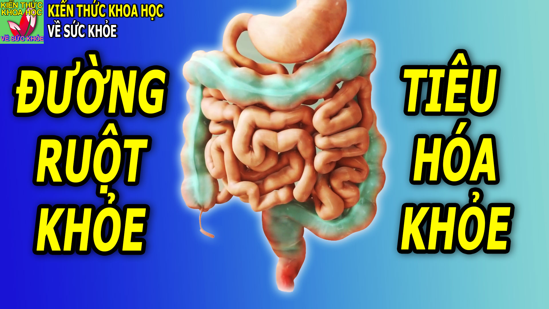 duong-ruot-khoe-khong-lo-mac-benh-tieu-hoa-nho-tap-the-duc-thuong-xuyen