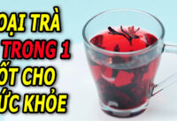 loai-tra-5-trong-1-giup-giam-mo-mau-ha-huyet-ap-phong-ngua-ung-thu