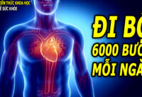 nguoi-thuong-xuyen-di-bo-6000-buoc-moi-ngay