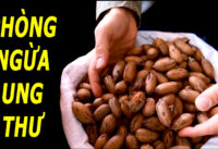 5-loai-thuc-pham-giup-chong-ung-thu-nhieu-noi-ban-rat-re