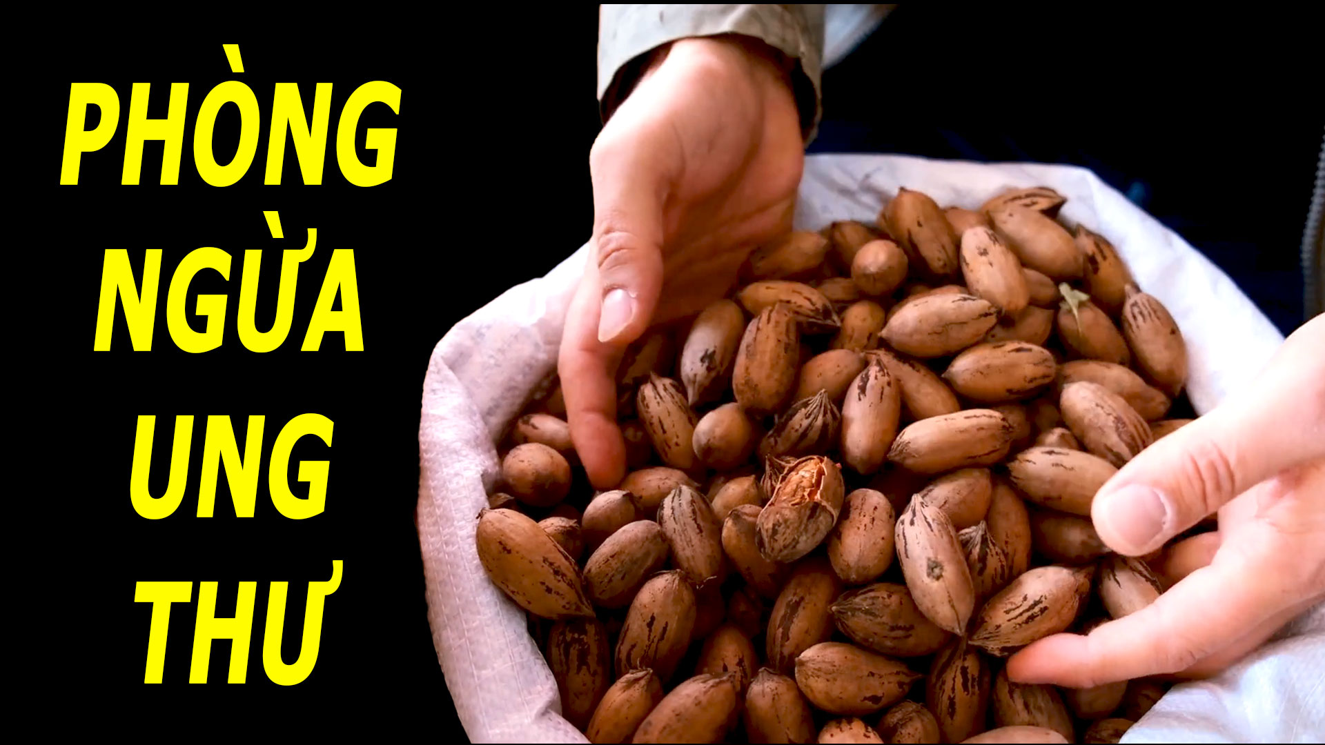 5-loai-thuc-pham-giup-chong-ung-thu-nhieu-noi-ban-rat-re