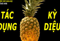 6-tac-dung-tuyet-voi-khi-an-dua-co-the-ban-chua-biet