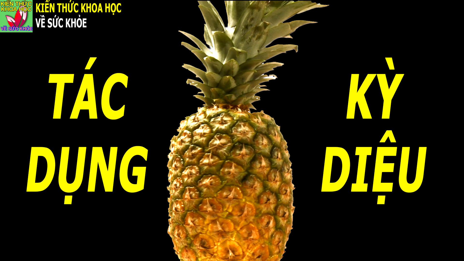 6-tac-dung-tuyet-voi-khi-an-dua-co-the-ban-chua-biet