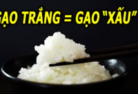 com-gao-trang-lieu-co-xau-nhu-nhieu-nguoi-van-nghi