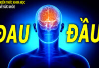 dau-dau-dai-dang-ngu-khong-ngon-giac-nguoi-met-moi