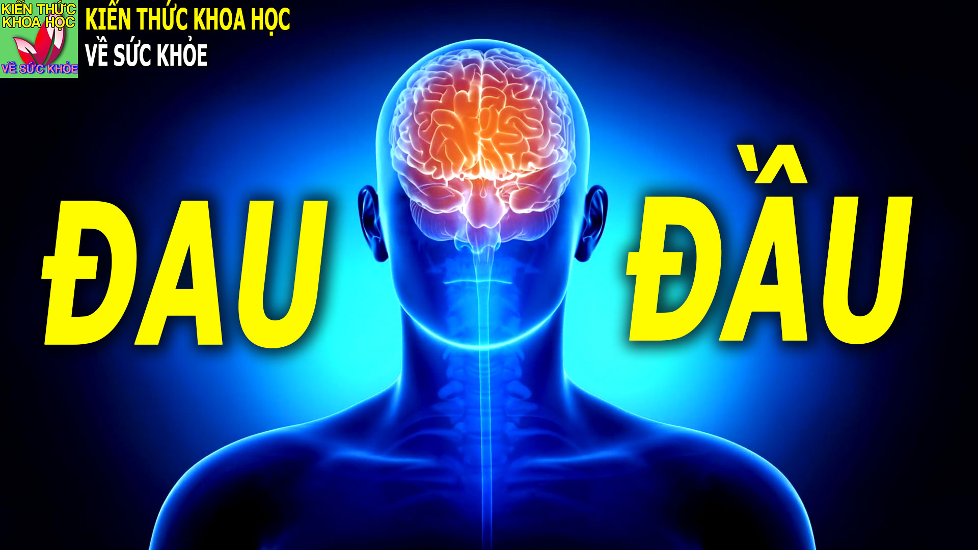 dau-dau-dai-dang-ngu-khong-ngon-giac-nguoi-met-moi