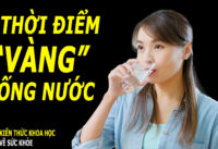 luoi-den-may-cung-dung-quen-uong-nuoc-vao-2-thoi-diem-nay