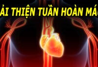 luu-thong-mau-tot-bach-benh-tieu-tan