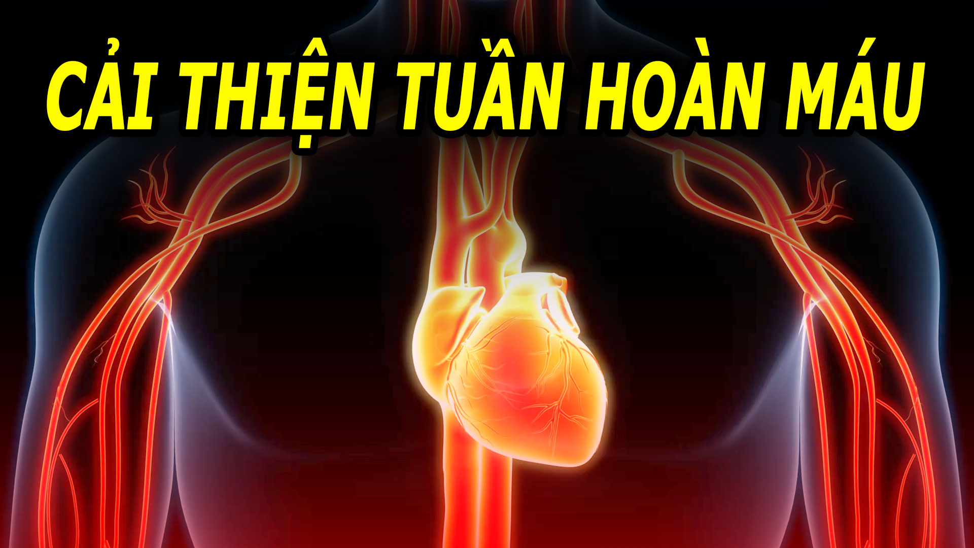 luu-thong-mau-tot-bach-benh-tieu-tan