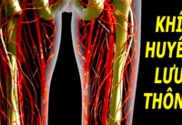 tap-deu-dan-1-trong-4-mon-nay-tuc-khac-khi-huyet-luu-thong-khong-lo-benh-tat