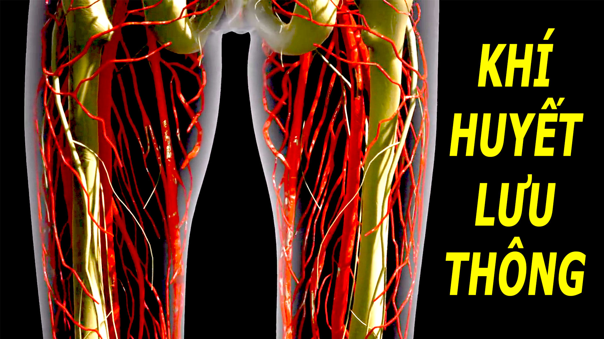 tap-deu-dan-1-trong-4-mon-nay-tuc-khac-khi-huyet-luu-thong-khong-lo-benh-tat