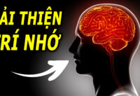 5-cach-don-gian-giup-cai-thien-tri-nho-cho-nguoi-hay-quen