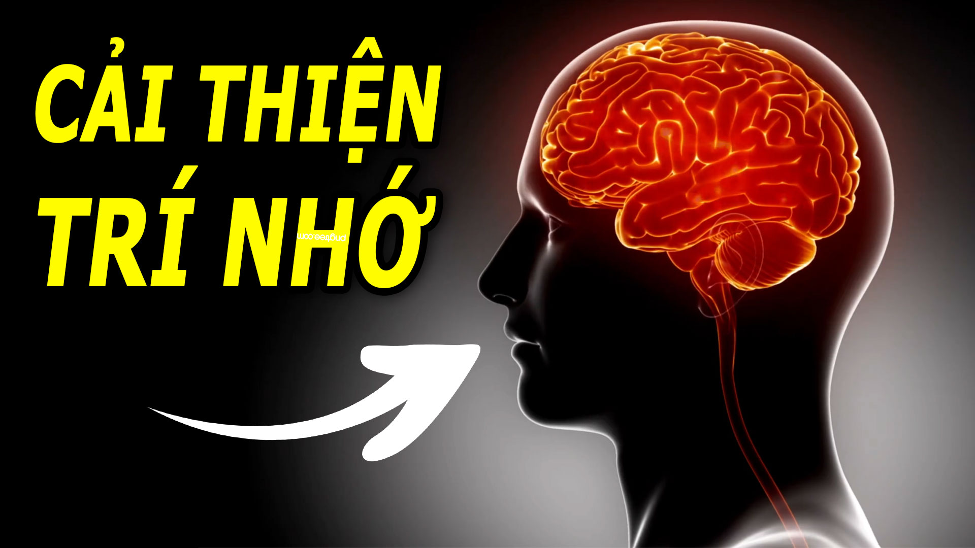 5-cach-don-gian-giup-cai-thien-tri-nho-cho-nguoi-hay-quen