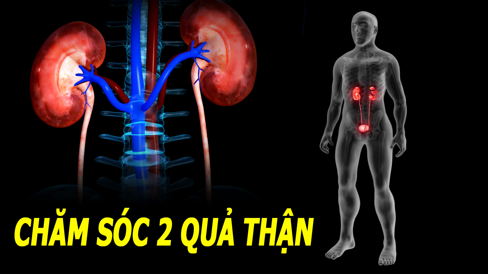 8-thoi-quen-vat-kiet-suc-luc-cua-than