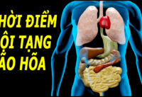 khong-muon-noi-tang-lao-hoa-som-lam-ngay-4-dieu-nay