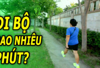 nen-di-bo-bao-nhieu-phut-moi-ngay-de-phong-benh-tim-mach-ung-thu