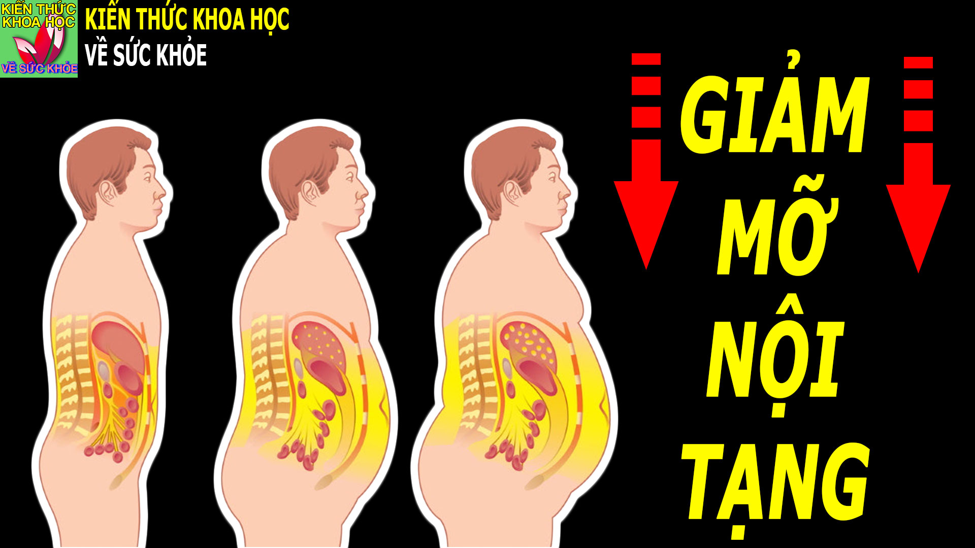 thuc-pham-dau-bang-giup-giam-mo-bung-va-mo-noi-tang-hieu-qua