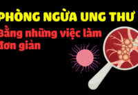 2-chia-khoa-quan-trong-giup-phong-ngua-ung-thu-hieu-qua