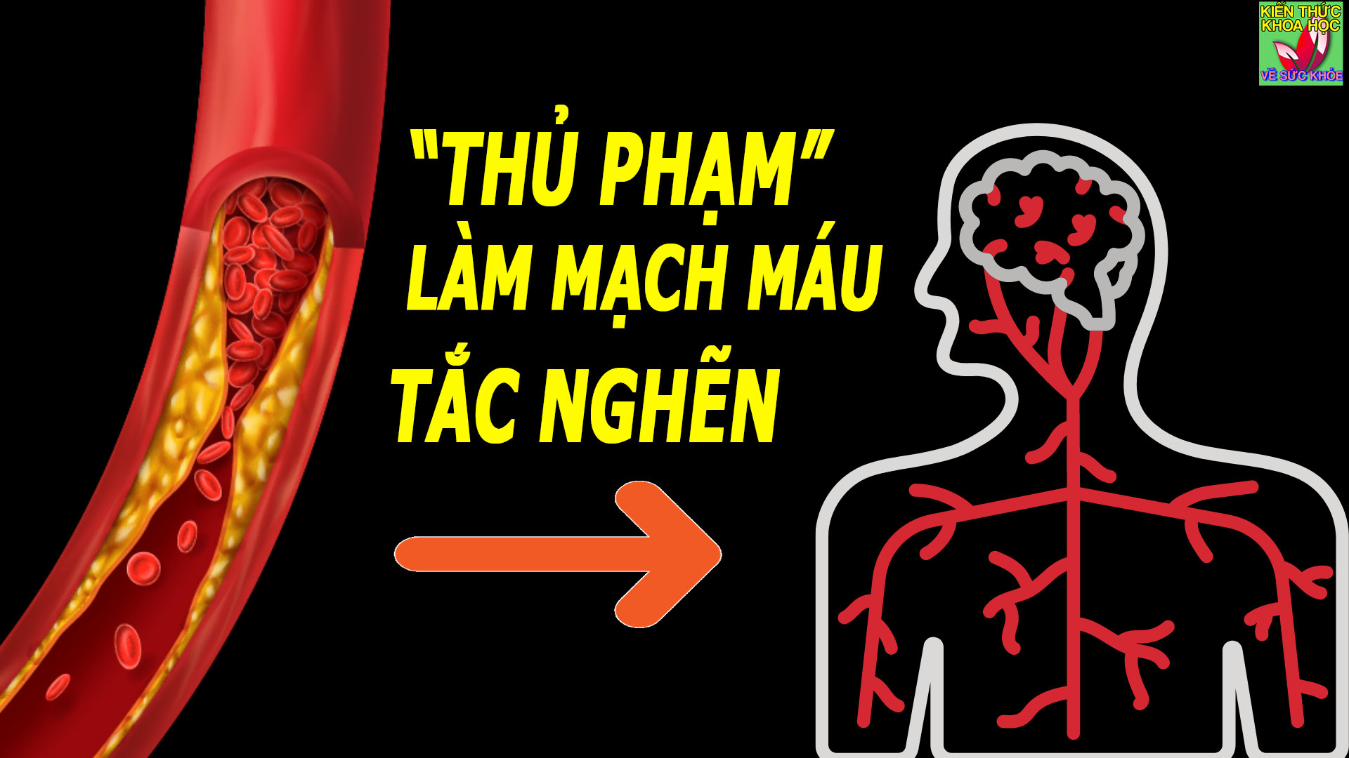 3-loai-thuc-pham-cang-an-nhieu-mach-mau-cang-tac-nghen