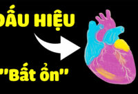 6-dau-hieu-cho-thay-trai-tim-co-van-de