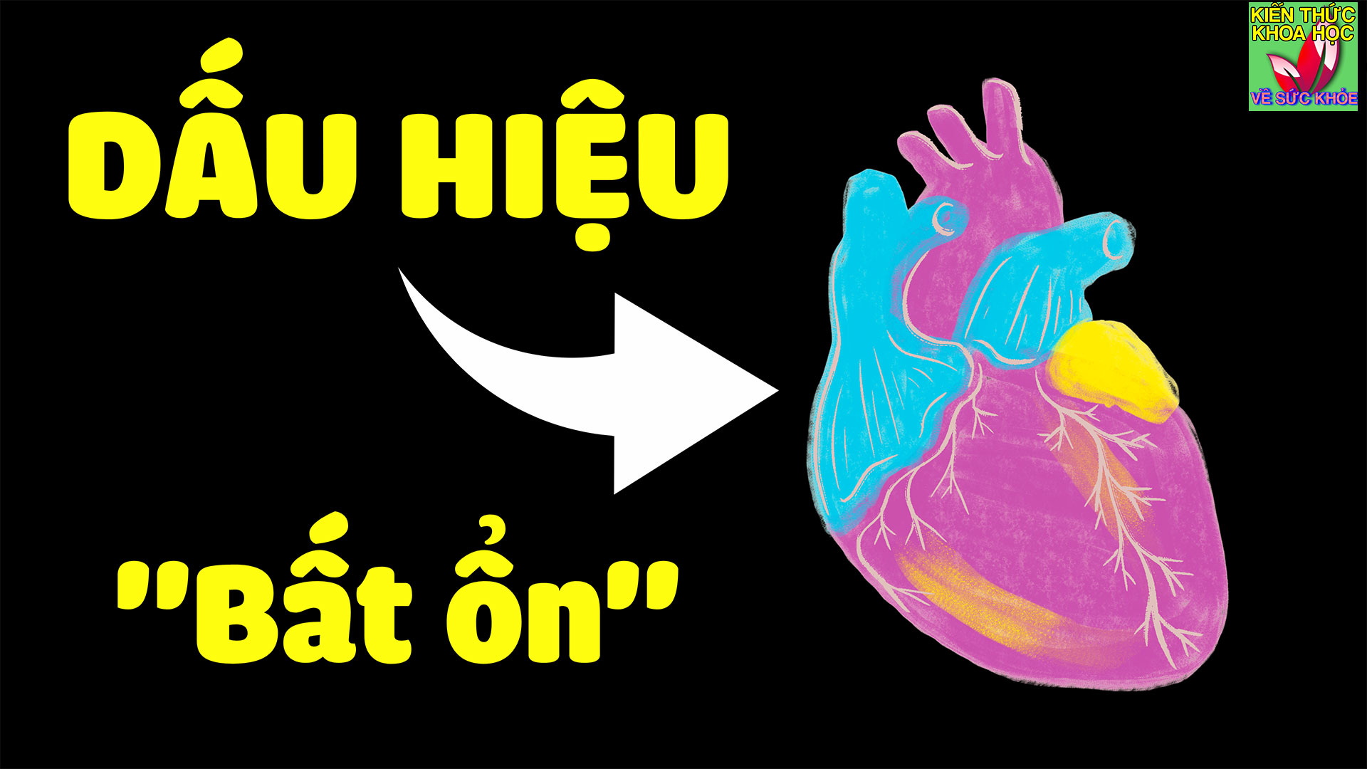 6-dau-hieu-cho-thay-trai-tim-co-van-de