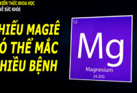 7-loai-thuc-pham-cuc-giau-magie-an-thuong-xuyen-khong-lo-bi-thieu