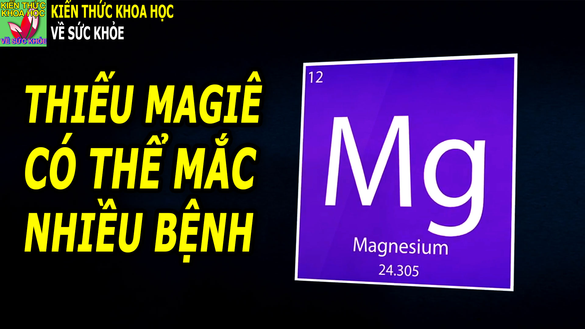 7-loai-thuc-pham-cuc-giau-magie-an-thuong-xuyen-khong-lo-bi-thieu