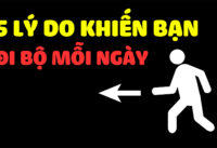 di-bo-moi-ngay-co-the-nhan-ve-5-loi-ich-suc-khoe-bat-ngo