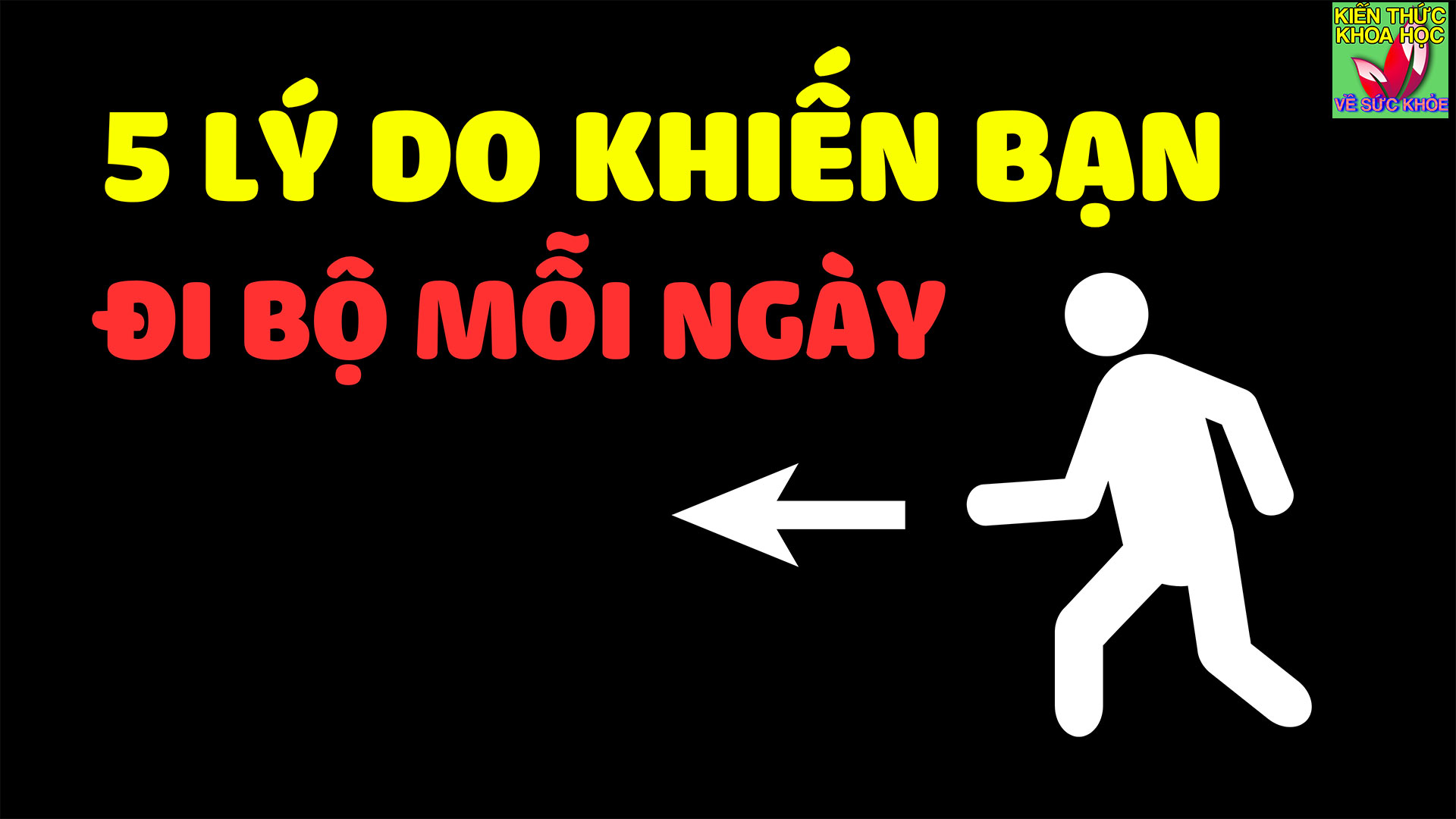 di-bo-moi-ngay-co-the-nhan-ve-5-loi-ich-suc-khoe-bat-ngo