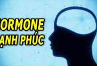 hormone-hanh-phuc-la-gi-chung-den-tu-dau