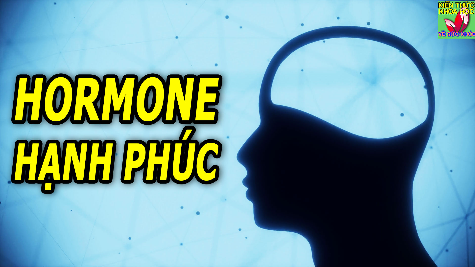 hormone-hanh-phuc-la-gi-chung-den-tu-dau