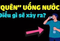 quen-uong-nuoc-dieu-gi-se-xay-ra-voi-co-the-ban