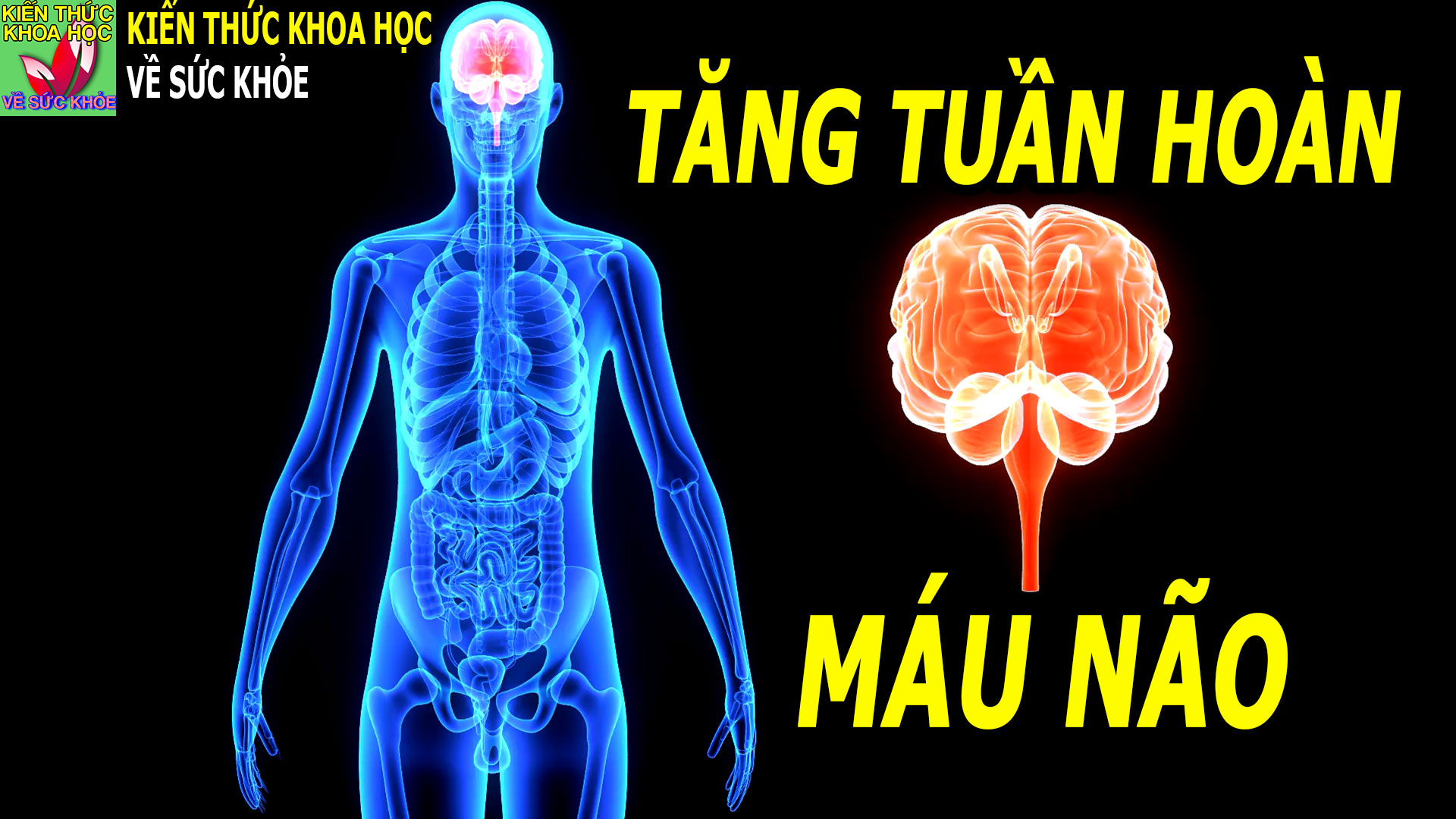 tuan-hoan-mau-nao-kem-bo-sung-ngay-nhung-loai-thuc-pham-nay