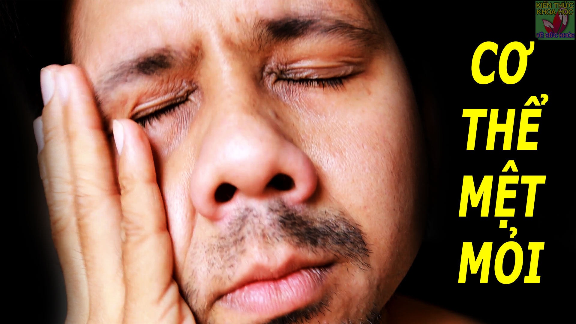 4-nguyen-nhan-khien-co-the-ban-luon-met-moi-du-khong-bi-benh