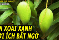 5-loi-ich-tuyet-voi-cua-xoai-xanh-nhung-it-nguoi-biet-den