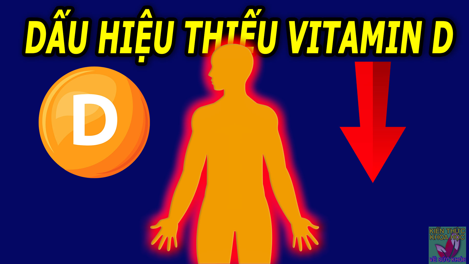 8-dau-hieu-canh-bao-ban-dang-thieu-vitamin-d