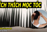 9-loai-thao-moc-giup-toc-moc-day-tro-lai