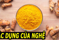cong-dung-tuyet-voi-cua-nghe-doi-voi-suc-khoe